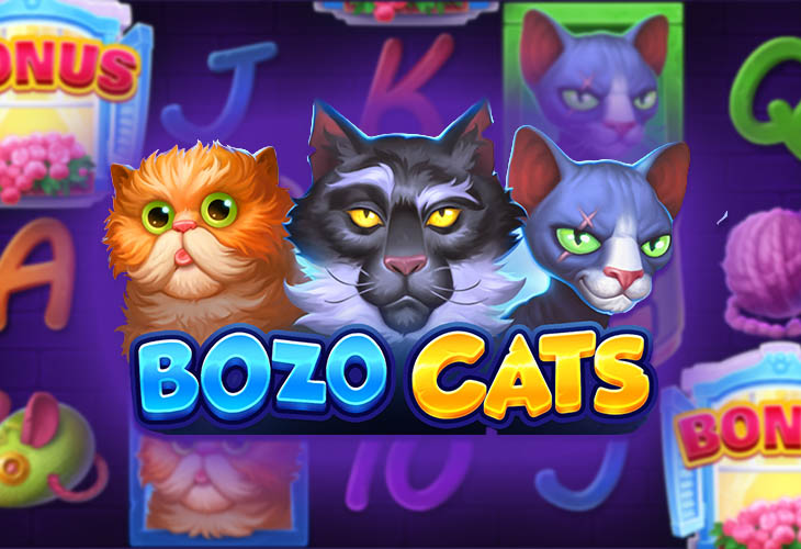 Bozo Cats