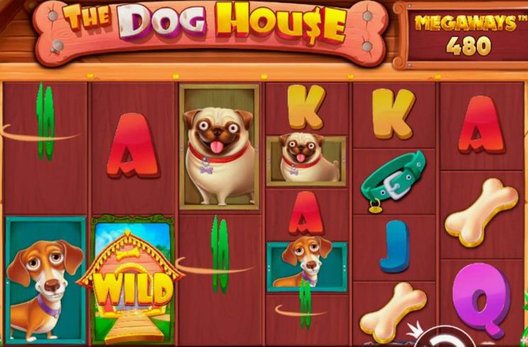 Экран с игровым автоматом The Dog House с активными 20 линиями выплат