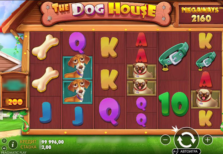Слот The Dog House Megaways интерфейс и барабаны